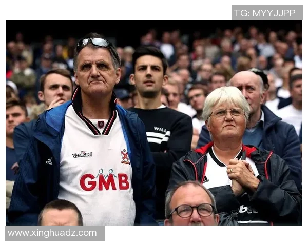 沃特福德与斯旺西实力分析及赛前预测全面对比 沃特福德与斯旺西实力分析及赛前预测全面对比