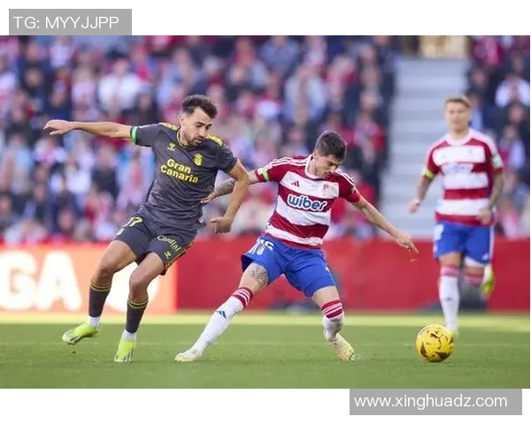 法国联赛勒芒对阵洛里昂的精彩比赛结果分析与回顾