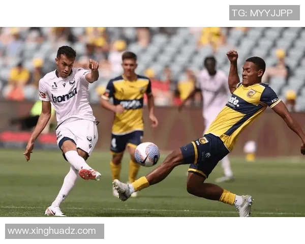 阿德莱德联与中央海岸水的精彩对决分析与赛前预测